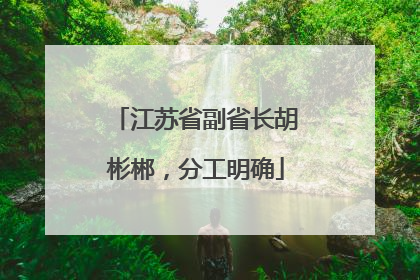 江苏省副省长胡彬郴，分工明确