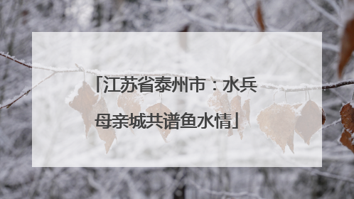 江苏省泰州市：水兵母亲城共谱鱼水情