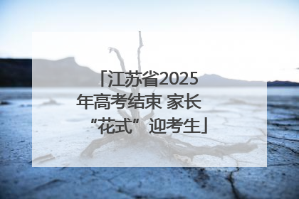江苏省2025年高考结束 家长“花式”迎考生