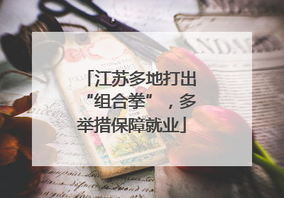 江苏多地打出“组合拳”，多举措保障就业