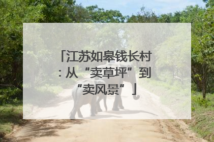 江苏如皋钱长村：从“卖草坪”到“卖风景”