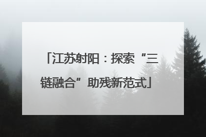 江苏射阳：探索“三链融合”助残新范式