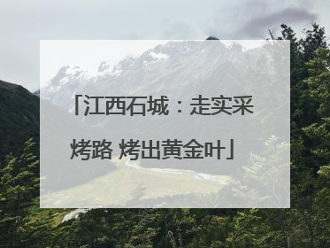 江西石城：走实采烤路 烤出黄金叶