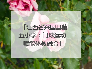 江西省兴国县第五小学：门球运动赋能体教融合