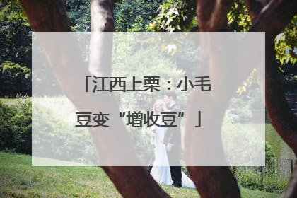 江西上栗：小毛豆变“增收豆”