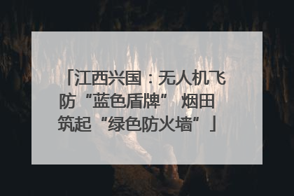 江西兴国：无人机飞防“蓝色盾牌” 烟田筑起“绿色防火墙”