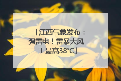 江西气象发布：强雷电！雷暴大风！最高38℃