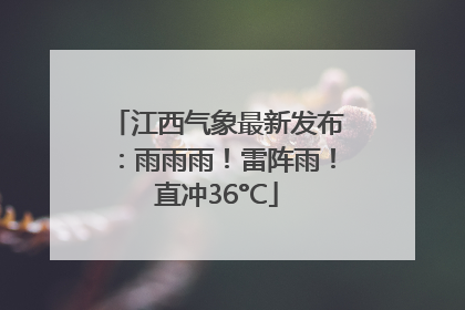 江西气象最新发布：雨雨雨！雷阵雨！直冲36°C