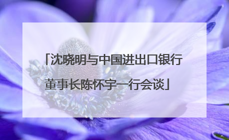 沈晓明与中国进出口银行董事长陈怀宇一行会谈