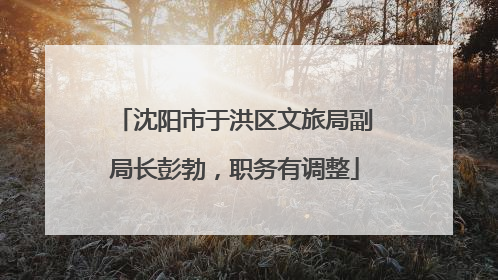沈阳市于洪区文旅局副局长彭勃，职务有调整