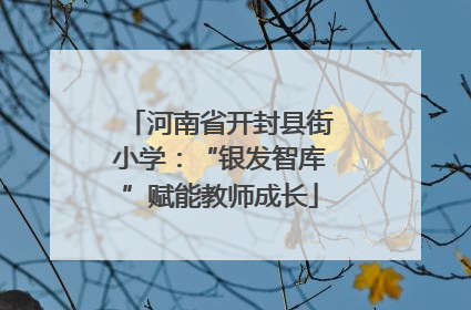 河南省开封县街小学：“银发智库”赋能教师成长