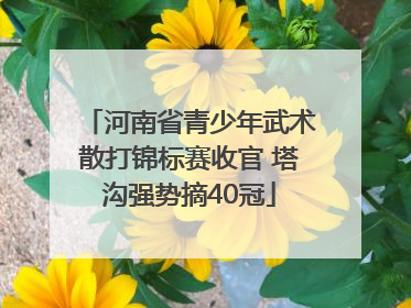 河南省青少年武术散打锦标赛收官 塔沟强势摘40冠