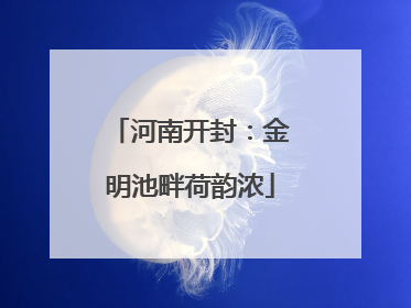 河南开封：金明池畔荷韵浓
