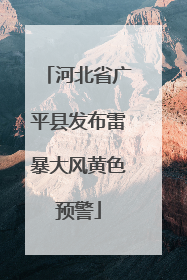 河北省广平县发布雷暴大风黄色预警