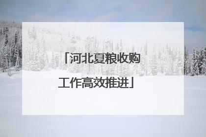 河北夏粮收购工作高效推进