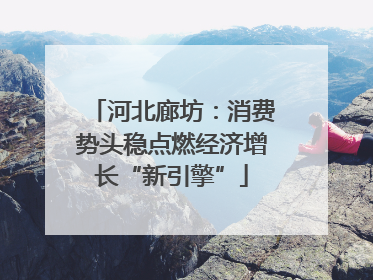 河北廊坊：消费势头稳点燃经济增长“新引擎”