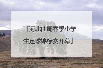 河北曲周春季小学生足球锦标赛开幕