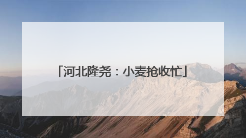 河北隆尧：小麦抢收忙