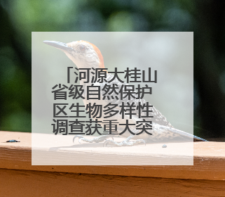 河源大桂山省级自然保护区生物多样性调查获重大突破——保护区首次发现珍稀名贵野生干巴菌与钝尾两头蛇