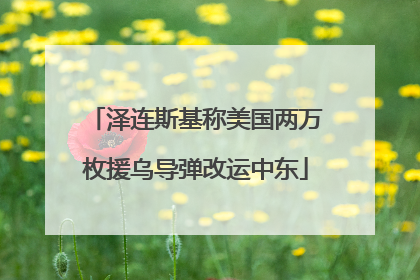 泽连斯基称美国两万枚援乌导弹改运中东