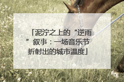 泥泞之上的“逆雨”叙事：一场音乐节折射出的城市温度