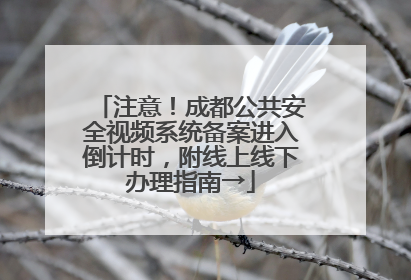 注意！成都公共安全视频系统备案进入倒计时，附线上线下办理指南→