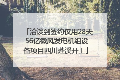 洽谈到签约仅用28天 56亿微风发电机组设备项目四川蓬溪开工