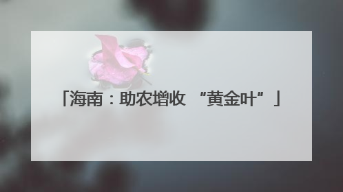 海南：助农增收 “黄金叶”
