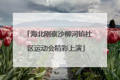 海北刚察沙柳河镇社区运动会精彩上演