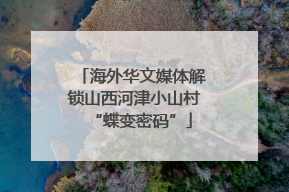 海外华文媒体解锁山西河津小山村“蝶变密码”