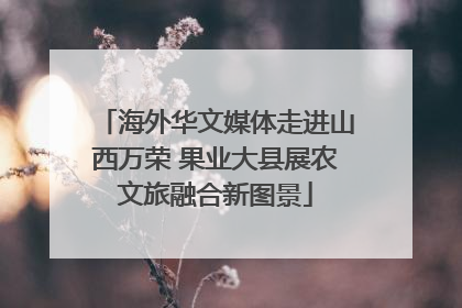 海外华文媒体走进山西万荣 果业大县展农文旅融合新图景