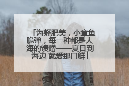 海蛏肥美，小章鱼脆弹，每一种都是大海的馈赠——夏日到海边 就爱那口鲜