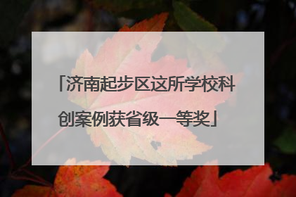 济南起步区这所学校科创案例获省级一等奖