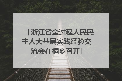 浙江省全过程人民民主人大基层实践经验交流会在桐乡召开