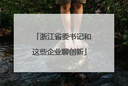 浙江省委书记和这些企业聊创新