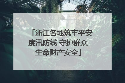 浙江各地筑牢平安度汛防线 守护群众生命财产安全