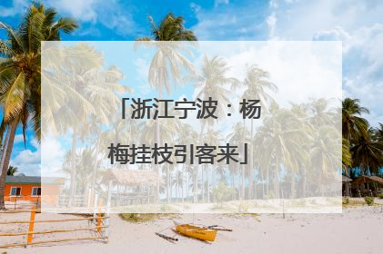 浙江宁波：杨梅挂枝引客来