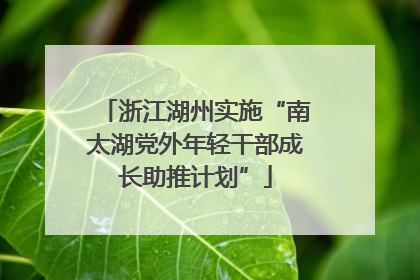浙江湖州实施“南太湖党外年轻干部成长助推计划”