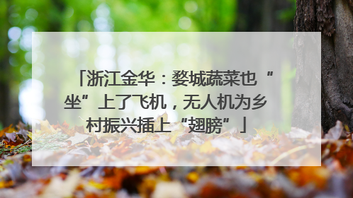 浙江金华：婺城蔬菜也“坐”上了飞机，无人机为乡村振兴插上“翅膀”