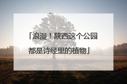 浪漫！陕西这个公园都是诗经里的植物