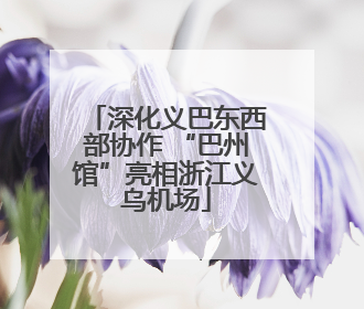 深化义巴东西部协作 “巴州馆”亮相浙江义乌机场