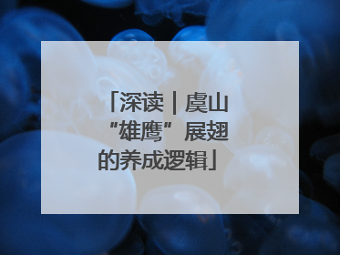 深读｜虞山“雄鹰”展翅的养成逻辑