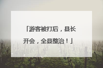 游客被打后，县长开会，全县整治！