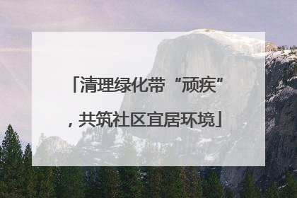 清理绿化带“顽疾”，共筑社区宜居环境