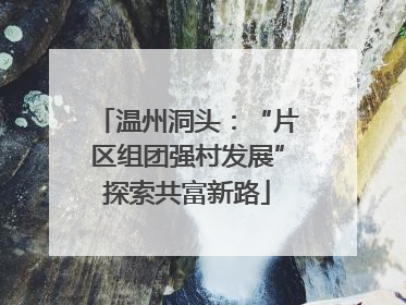 温州洞头：“片区组团强村发展”探索共富新路