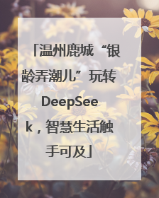 温州鹿城“银龄弄潮儿”玩转DeepSeek，智慧生活触手可及