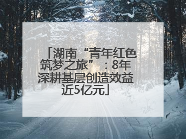 湖南“青年红色筑梦之旅”：8年深耕基层创造效益近5亿元