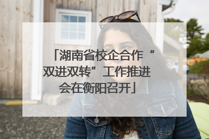 湖南省校企合作“双进双转”工作推进会在衡阳召开