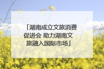 湖南成立文旅消费促进会 助力湖南文旅融入国际市场