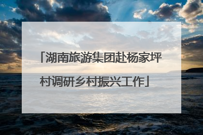 湖南旅游集团赴杨家坪村调研乡村振兴工作